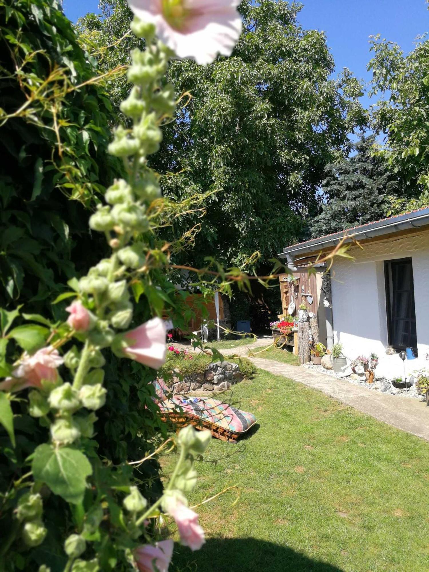 Bungalow Bei Warnemuende Elmenhorst/Lichtenhagen Εξωτερικό φωτογραφία
